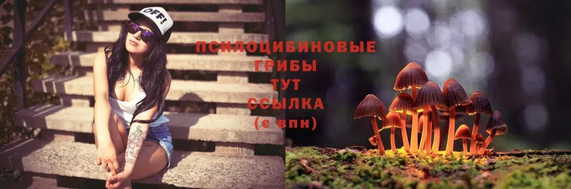 Галлюциногенные грибы Magic Shrooms  Советский 